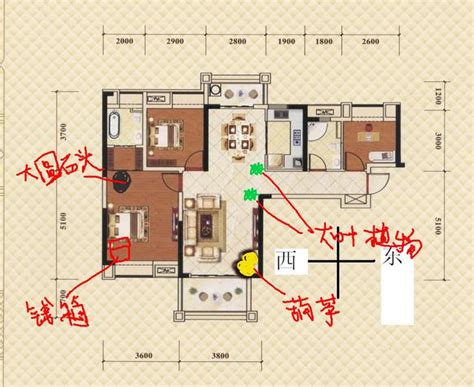 走廊風水|化解開門是走廊，不用搬家也可以